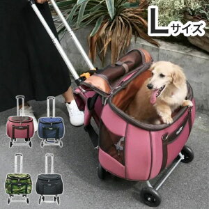 XC[gn[g bN^Cv ybgJ[g LTCY ybgp L[obO RpNg @\ ły|Cg10{zyz