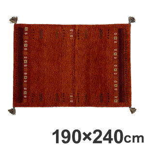 O 190×240cm IW  E[ Rbg VRf I[V[Y Vv  k O~ J[ybg }bg rO}bg V l炵(s)yz