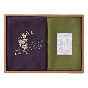 Ԃ̗V hJЕC~&  250-14B(s)y|Cg10{zyz