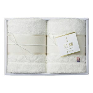 nishikawa P tFCX^I2P TT88400091W(s)y|Cg10{zyz