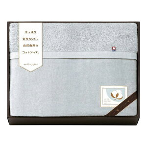 RbgZNVMtg ӂ^Iѕz (ܕt) CPM18201-GY(s)y|Cg10{zyz