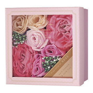 fCYCu[ oXt[Mtg [Y 12225001(s)y|Cg10{zyz