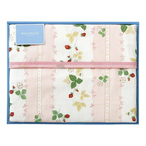 EFbWEbh ChXgx[ Ȗѕz(щH) sN FQ82601011P(s)y|Cg10{zyz