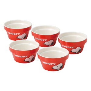 I[uRRbg5P Xk[s[ m SNC-6OR-5P(s)y|Cg10{zyz