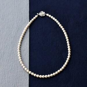 AR{^lbNX p[Ep[EREx  NS6(s)y|Cg10{zyz