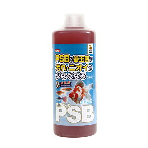 CgXC [ۓPSB 1000ml