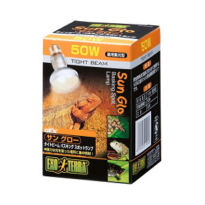 �W�F�b�N�X �T���O���[�^�C�g�r�[�� 50W PT2135