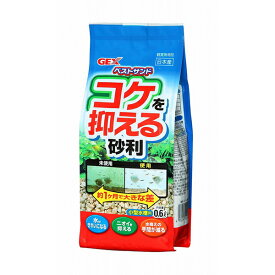 楽天市場 Gex ベストサンド 6lの通販
