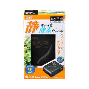 WFbNX e]AIR 6000WB ybgpi Mы ANAEpi tB^[ |v |vyz