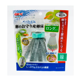 楽天市場 メダカ 卵の通販