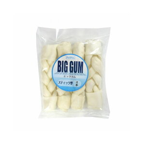 ybgv BIGK XeBbN^ 4{ p   XibN K ^ 傫