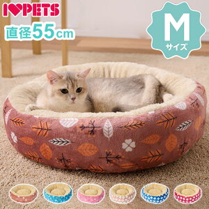 ~p ybg xbh NbV M a55cm ی` Eh ybgxbh }bg \t@[ ~  g  ӂӂ 킢  ^  p L Lpy|Cg10{zy