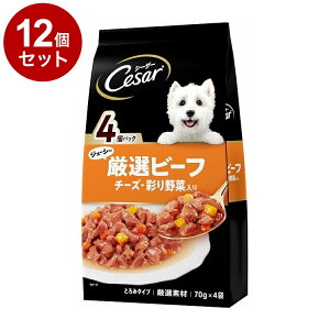 y12Zbgz V[U[ W[V[Ir[t `[YEʂؓ 70g×4܁y|Cg10{zyz