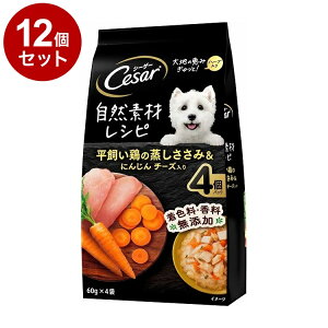 y12Zbgz V[U[ RfރVs {̏&ɂ񂶂 `[Y 60g×4܁y|Cg10{zyz