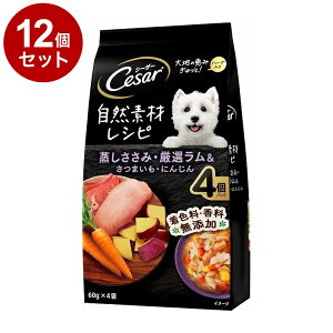 y12Zbgz V[U[ RfރVs ݁EI&܂Eɂ񂶂 60g×4܁y|Cg10{zyz