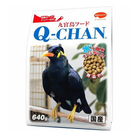 日本ペットフード 九官鳥フード キューチャン 640g【ポイント10倍】