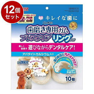 y12Zbgz }J TCY S̎pK uXNA O^Cv 10y|Cg10{zyz