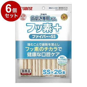 y6Zbgz }J TCY S̎pK tbfvX t@Co[SSTCY Ap^CgJVE 26{y|Cg10{zyz