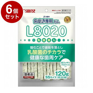 y6Zbgz }J TCY S̎pKSSTCY L8020_ۓ NtB 120gy|Cg10{zyz