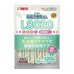 }J TCY S̎pKSSTCY L8020_ۓ NtB ᎉb 120gy|Cg10{z