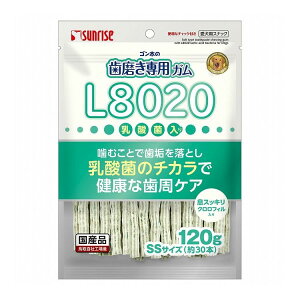 }J TCY S̎pKSSTCY L8020_ۓ NtB 120gy|Cg10{z