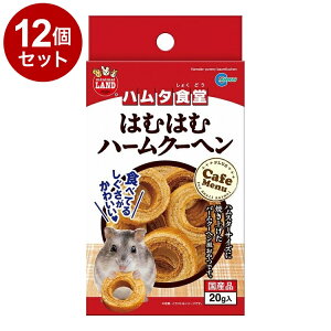 y12Zbgz }J n^H ͂ނ͂ރn[N[w 20gy|Cg10{zyz