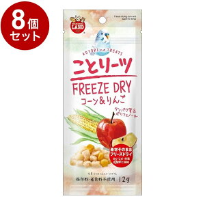 y8Zbgz }J Ƃ[c R[& 12gy|Cg10{zyz