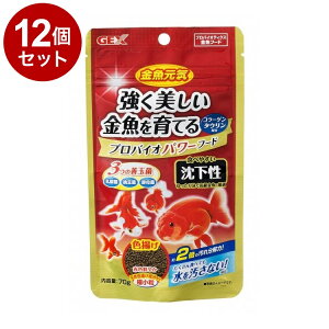 y12Zbgz GEX WFbNX C voCIp[t[h  70gy|Cg10{zyz