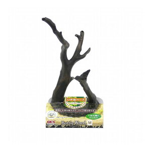 GEX WFbNX i {gEbh My|Cg10{z