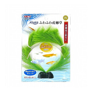 GEX WFbNX _Ji ӂӂY ~y|Cg10{z