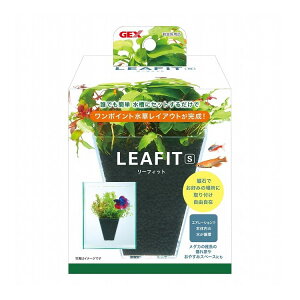 GEX WFbNX [tBbg Sy|Cg10{z