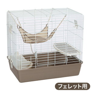 }J tFbgp P[W nEX gC nbNt ȒP ^ Sҗp SҌ Q[W T[N p tFbg̃rO[Lbg `R[y|C