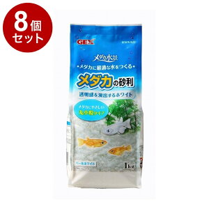 y8Zbgz GEX WFbNX _Ji _J̍ p[zCg 1kgy|Cg10{zyz