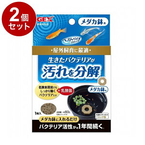 y2Zbgz GEX WFbNX xXgoCIubN _Jpy|Cg10{zyz