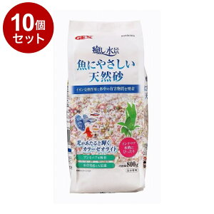 y10Zbgz GEX WFbNX i ɂ₳VR 800gy|Cg10{zyz