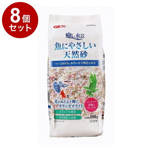 y8Zbgz GEX WFbNX i ɂ₳VR 800gy|Cg10{zyz