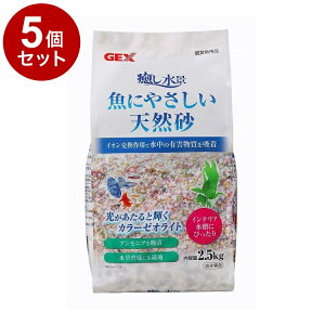 y5Zbgz GEX WFbNX i ɂ₳VR 2.5kgy|Cg10{zyz