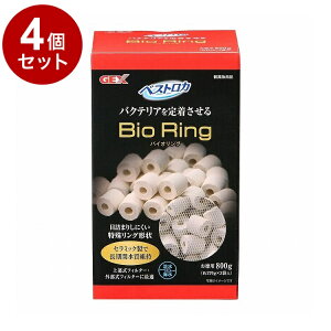 y4Zbgz GEX WFbNX xXgJ oCIO800gy|Cg10{zyz