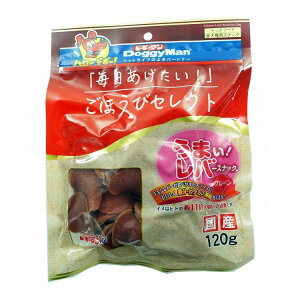 hM[} قуZNg ܂!o[XibN v[ 120gy|Cg10{z