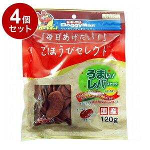 y4Zbgz hM[} قуZNg ܂!o[XibN ΉFؓ 120gy|Cg10{z