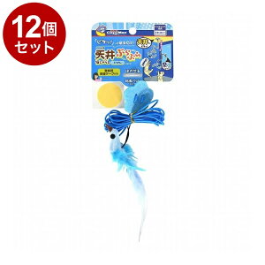 y12Zbgz hM[} LeB[} L VԂԂL炵 Ƃ肳y|Cg10{zyz