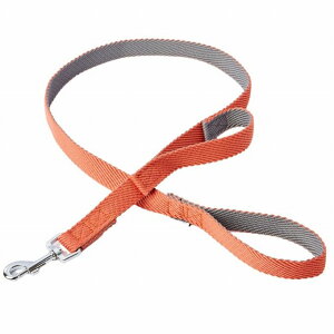 AhCg \tgXLbv[h M bhy|Cg10{z