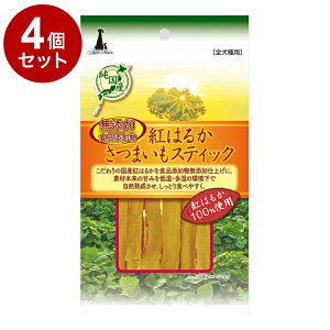 y4Zbgz AhCg g͂邩 ܂XeBbN 45gy|Cg10{z