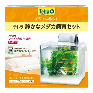 eg Âȃ_JZbg SF-17KFy|Cg10{zyz