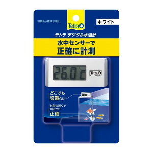 �e�g�� �f�W�^�������v �z���C�g WD-1�y�|�C���g10�{�z