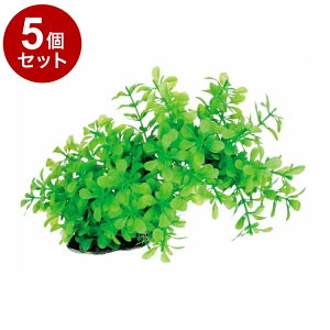 y5Zbgz eg tLVuvg FP-2y|Cg10{zyz