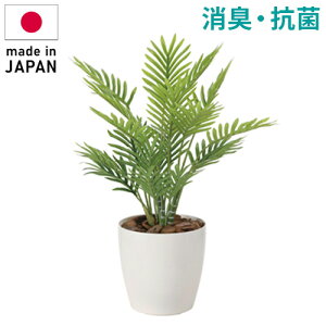 tbVp[  Mtg 蕨 JXj v[g tFCNO[  Vv _ rO V l炵(s)yz