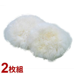 [gъۃNbV2g zCg ی^ [g NbV fXN[N hCu 킢  ~ z ۉ ӂӂ قق TT JK1903WH2P(s)y|Cg10{