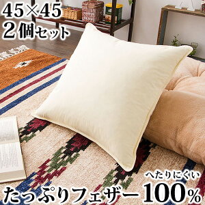 2g tFU[ NbV 45×45cm zeNbV k[hNbV NbV zedl NbVg w zc H H 100% VRf  g c n y|C