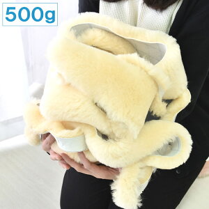 i [g[؂ 500g [gO [g ͂ [؂ {v E[ rуtFg {v A[g Ntg(s)y|Cg10{zyz